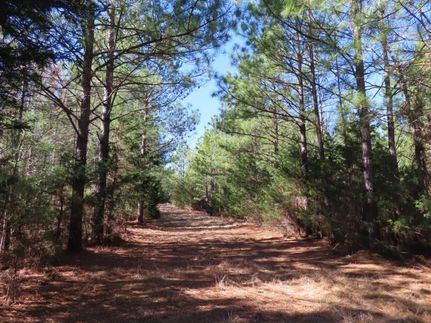 Property for sale in Fairfield County, South Carolina