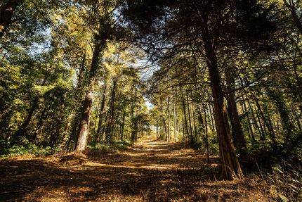 Property for sale in Marshall County, Mississippi