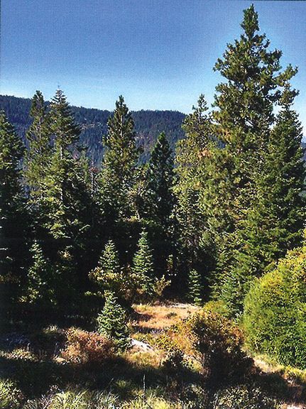 Property for sale in Jackson County, Oregon