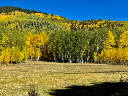 Undeveloped Land for sale in Montezuma County, Colorado
