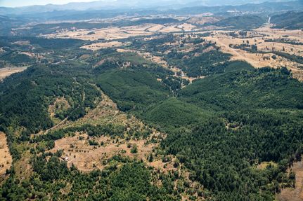 Property for sale in Douglas County, Oregon