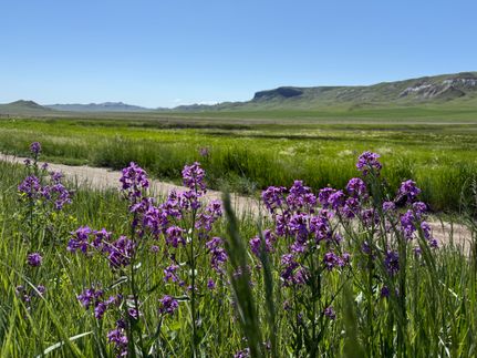 Property for sale in Chouteau County, Montana