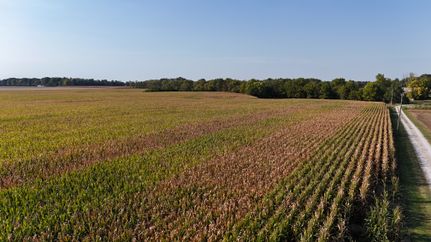 Property for sale in Carroll County, Indiana