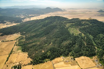 Timberland Property for sale in Linn County, Oregon