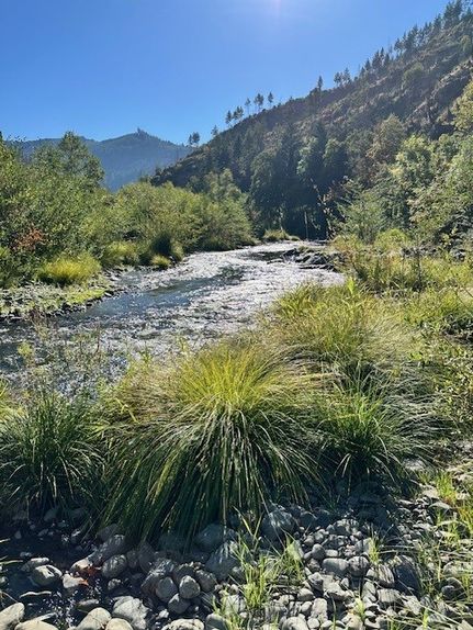 Property for sale in Douglas County, Oregon