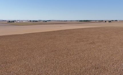 Property for sale in Woodford County, Illinois