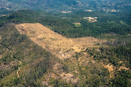 Timberland Property for sale in Douglas County, Oregon