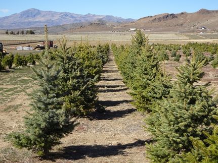 Recreational Property for sale in Washoe County, Nevada