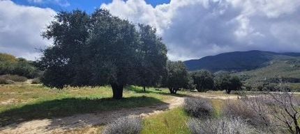 Ranch Property for sale in San Diego County, California