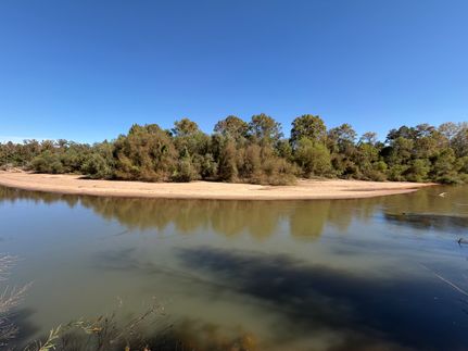 Hunting Land for sale in Wilkinson County, Georgia