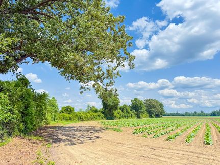 Ranch Property for sale in Horry County, South Carolina