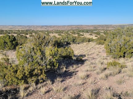Undeveloped Land for sale in Apache County, Arizona