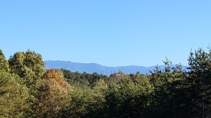 Property for sale in Sevier County, Tennessee