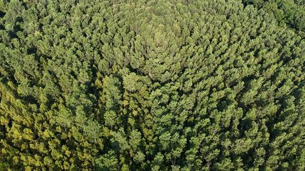 Property for sale in Warren County, Mississippi