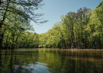 Property for sale in Carroll County, Mississippi