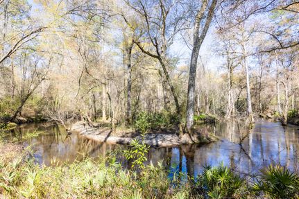 Recreational Property for sale in Colquitt County, Georgia