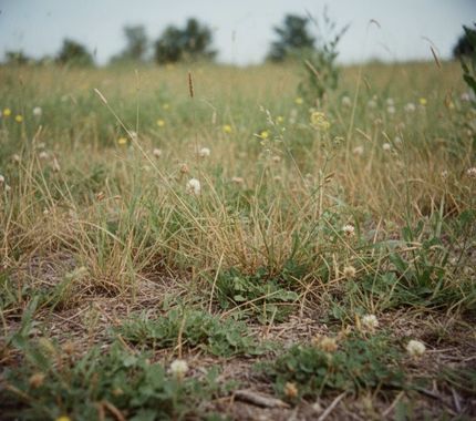 Property for sale in Tulsa County, Oklahoma