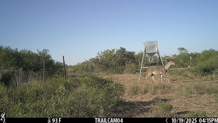 Property for sale in Jim Wells County, Texas