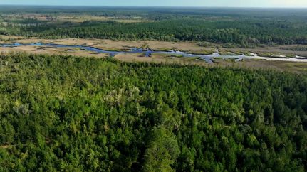 Timberland Property for sale in Glynn County, Georgia