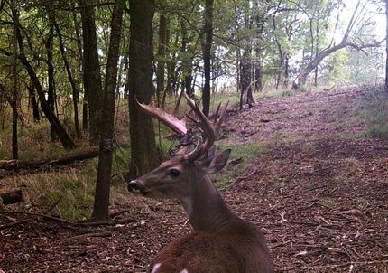 Property for sale in McCurtain County, Oklahoma