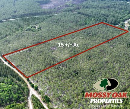 Property for sale in Charlton County, Georgia