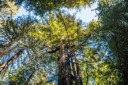 Property in Marin County, California