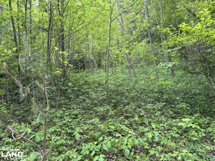 Property for sale in Jackson County, North Carolina