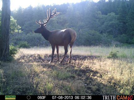 Ranch Property for sale in Jackson County, Oregon