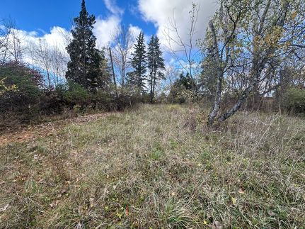 Property for sale in Sanilac County, Michigan