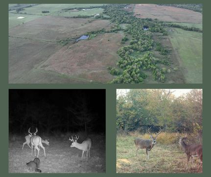 Property for sale in Atoka County, Oklahoma