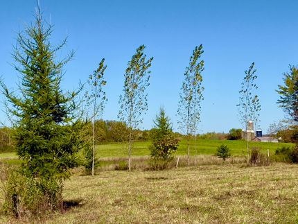 Property for sale in Madison County, New York