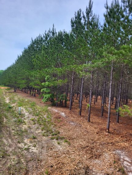 Residential Property for sale in Kershaw County, South Carolina