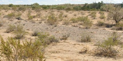 Property for sale in Mohave County, Arizona