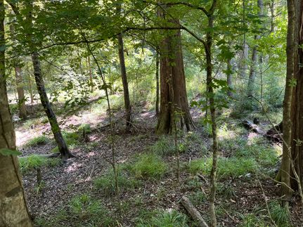 Property for sale in Tyler County, Texas