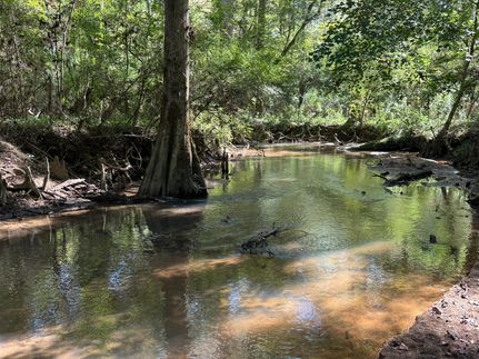 Property for sale in Houston County, Alabama