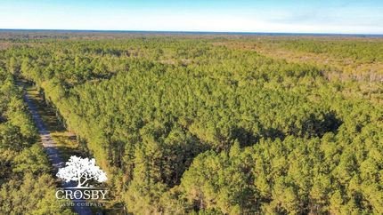 Property for sale in McIntosh County, Georgia