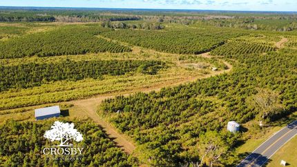 Recreational Property for sale in Tattnall County, Georgia