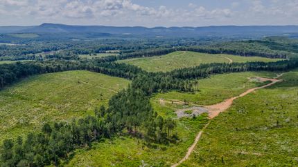 Timberland Property for sale in Chattooga County, Georgia