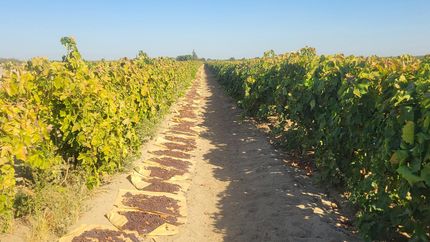 Property for sale in Fresno County, California