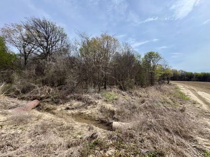 Undeveloped Land for sale in Sunflower County, Mississippi