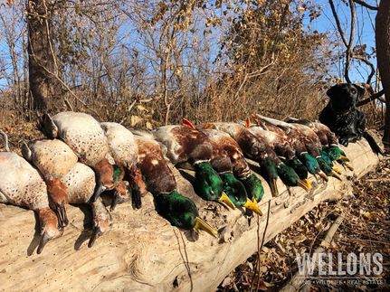 Property in Arkansas County, Arkansas