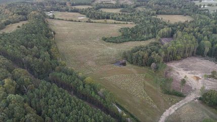 Property for sale in Winston County, Alabama