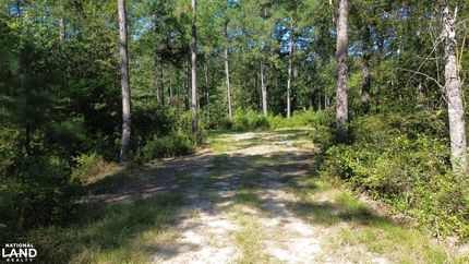 Property for sale in Colleton County, South Carolina