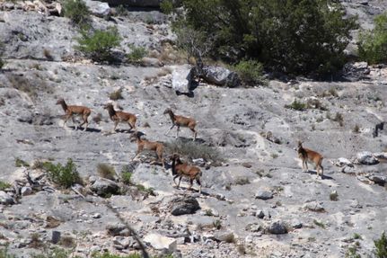 Property for sale in Edwards County, Texas