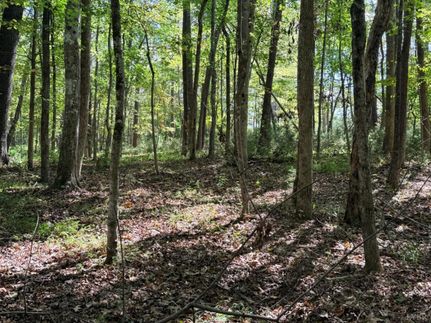 Undeveloped Land for sale in Bedford County, Virginia