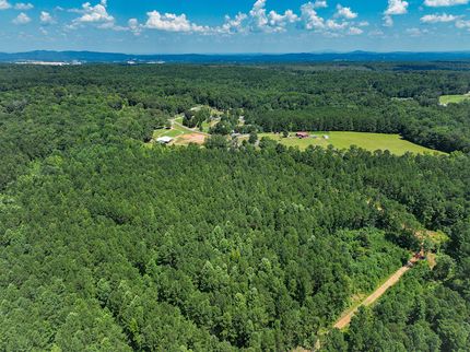 Hunting Land for sale in Talladega County, Alabama