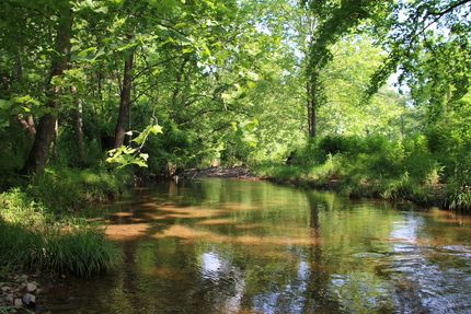 Undeveloped Land for sale in Frederick County, Virginia