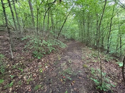 Undeveloped Land for sale in Campbell County, Tennessee