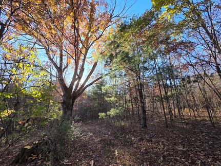 Property for sale in Chemung County, New York