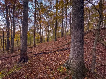 Recreational Property for sale in Wirt County, West Virginia